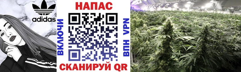 APVP Изобильный