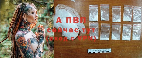не бодяженный Горно-Алтайск