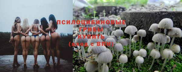 таблы Вязьма