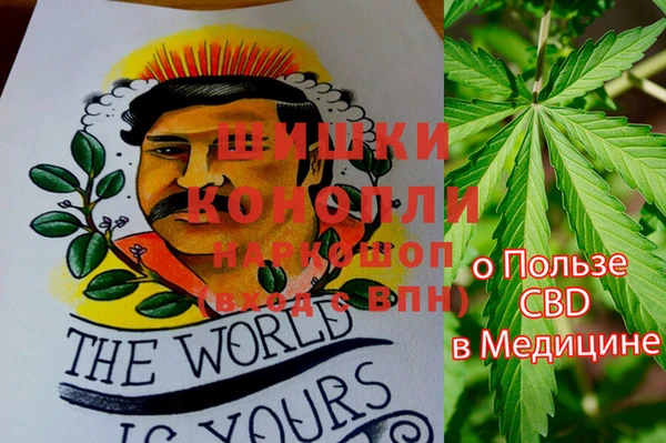 не бодяженный Горно-Алтайск