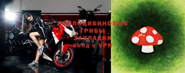 не бодяженный Горно-Алтайск