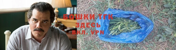 не бодяженный Горно-Алтайск